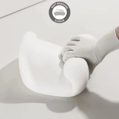 Apoio Lombar Ergonômico para Banco Automotivo